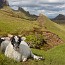 thumbs/E5D_6309.jpg